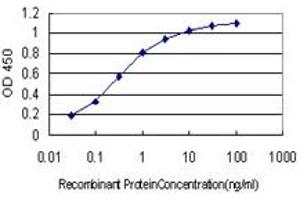 Detection limit for recombinant GST tagged SNAP23 is approximately 0.