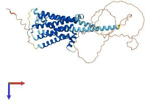 AlphaFold protein structure predicition of Human Recombinant HRH1 Protein, UniprotID P35367