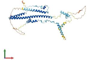 AlphaFold protein structure predicition of Human Recombinant TADA3 Protein, UniprotID O75528