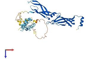 AlphaFold protein structure predicition of Human Recombinant DNAJB5 Protein, UniprotID O75953