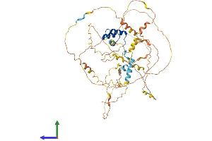 AlphaFold protein structure predicition of Human Recombinant ARX Protein, UniprotID Q96QS3