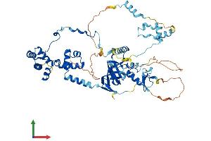 AlphaFold protein structure predicition of Mouse Recombinant Mta3 Protein, UniprotID Q924K8
