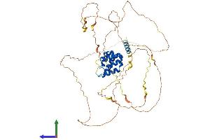 AlphaFold protein structure predicition of Mouse Recombinant Mavs Protein, UniprotID Q8VCF0