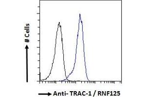 ABIN185241 Flow cytometric analysis of paraformaldehyde fixed HeLa cells (blue line), permeabilized with 0. (RNF125 anticorps  (C-Term))