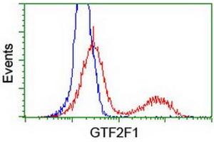 HEK293T cells transfected with either RC201294 overexpress plasmid (Red) or empty vector control plasmid (Blue) were immunostained by anti-GTF2F1 antibody (ABIN2454915), and then analyzed by flow cytometry. (GTF2F1 anticorps)