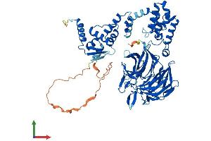 AlphaFold protein structure predicition of Mouse Recombinant Klhl14 Protein, UniprotID Q69ZK5