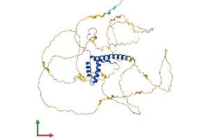 AlphaFold protein structure predicition of Human Recombinant TOX Protein, UniprotID O94900
