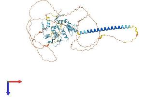 AlphaFold protein structure predicition of Human Recombinant ZNF384 Protein, UniprotID Q8TF68