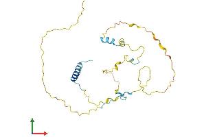 AlphaFold protein structure predicition of Human Recombinant CDCA5 Protein, UniprotID Q96FF9