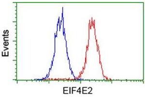 Flow cytometric Analysis of Hela cells, using anti-EIF4E2 antibody (ABIN2454230), (Red), compared to a nonspecific negative control antibody, (Blue). (EIF4E2 anticorps)