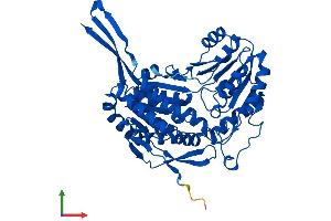 AlphaFold protein structure predicition of Mouse Recombinant Aldh8a1 Protein, UniprotID Q8BH00