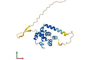 AlphaFold protein structure predicition of Human Recombinant SPDYE7P Protein, UniprotID Q495Y7