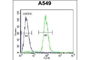 SOX3 Antibody (Center ) (ABIN656009 and ABIN2845385) flow cytometric analysis of A549 cells (right histogram) compared to a negative control cell (left histogram).