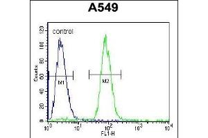 SOX3 Antibody (Center ) (ABIN656009 and ABIN2845385) flow cytometric analysis of A549 cells (right histogram) compared to a negative control cell (left histogram).