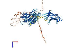 AlphaFold protein structure predicition of Human Recombinant CPNE7 Protein, UniprotID Q9UBL6