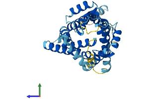 AlphaFold protein structure predicition of Human Recombinant SLC25A17 Protein, UniprotID O43808