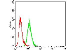 Flow cytometric analysis of Hela cells using FSHR mouse mAb (green) and negative control (red).
