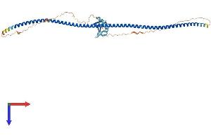 AlphaFold protein structure predicition of Mouse Recombinant Rassf8 Protein, UniprotID Q8CJ96