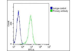 Overlay histogram showing Hela cells stained with (ABIN6243230 and ABIN6578764)(green line).