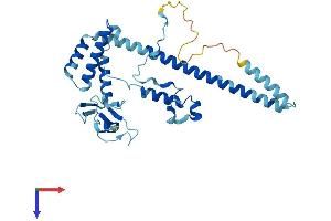 AlphaFold protein structure predicition of Mouse Recombinant Mnat1 Protein, UniprotID P51949