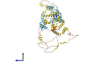 AlphaFold protein structure predicition of Human Recombinant UBQLN4 Protein, UniprotID Q9NRR5