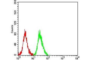 Flow cytometric analysis of SH-SY5Y cells using PRKN mouse mAb (green) and negative control (red).