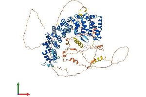 AlphaFold protein structure predicition of Mouse Recombinant Ppp6r1 Protein, UniprotID Q7TSI3