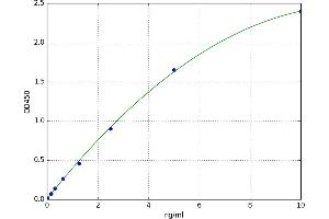 A typical standard curve (IDO1 Kit ELISA)