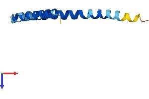 AlphaFold protein structure predicition of Mouse Recombinant Sptssb Protein, UniprotID Q925E8