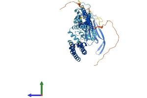 AlphaFold protein structure predicition of Mouse Recombinant Mcoln1 Protein, UniprotID Q99J21