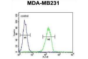 Flow Cytometry (FACS) image for anti-Cathepsin S (CTSS) antibody (ABIN3003177) (Cathepsin S anticorps)