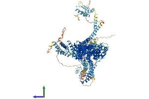 AlphaFold protein structure predicition of Human Recombinant NCAPD2 Protein, UniprotID Q15021