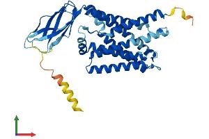AlphaFold protein structure predicition of Mouse Recombinant Ctns Protein, UniprotID P57757