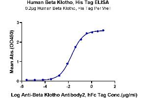 Immobilized Human Beta Klotho at 2 μg/mL (100 μL/Well).