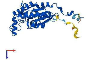 AlphaFold protein structure predicition of Human Recombinant IAH1 Protein, UniprotID Q2TAA2