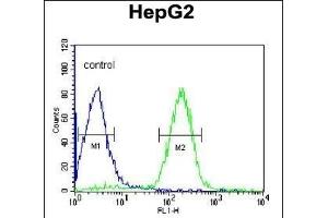 ORM1 Antibody (C-term) (ABIN390444 and ABIN2840823) flow cytometric analysis of HepG2 cells (right histogram) compared to a negative control cell (left histogram). (ORM1 anticorps  (C-Term))