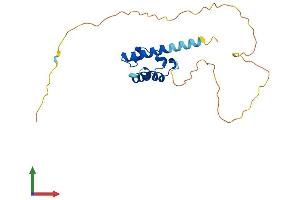 AlphaFold protein structure predicition of Human Recombinant SAMD10 Protein, UniprotID Q9BYL1