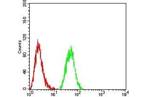 Flow cytometric analysis of Hela cells using HTRA2 mouse mAb (green) and negative control (red).