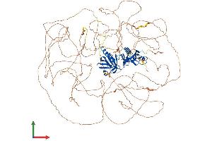 AlphaFold protein structure predicition of Human Recombinant IRS1 Protein, UniprotID P35568