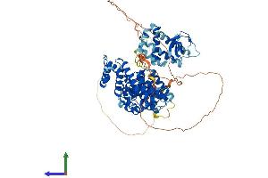 AlphaFold protein structure predicition of Human Recombinant NCKIPSD Protein, UniprotID Q9NZQ3