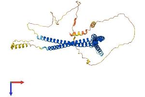 AlphaFold protein structure predicition of Mouse Recombinant Sh3bp5 Protein, UniprotID Q9Z131