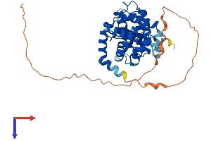 AlphaFold protein structure predicition of Human Recombinant CCNO Protein, UniprotID P22674