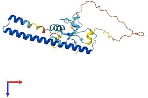 AlphaFold protein structure predicition of Human Recombinant THAP6 Protein, UniprotID Q8TBB0