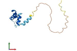 AlphaFold protein structure predicition of Human Recombinant RPLP2 Protein, UniprotID P05387