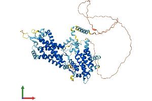 AlphaFold protein structure predicition of Human Recombinant NDC1 Protein, UniprotID Q9BTX1