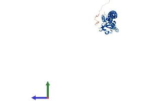 AlphaFold protein structure predicition of Mouse Recombinant Cd207 Protein, UniprotID Q8VBX4