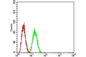 Flow cytometric analysis of Hela cells using ADAM10 mouse mAb (green) and negative control (red).