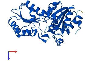 AlphaFold protein structure predicition of Human Recombinant LHPP Protein, UniprotID Q9H008