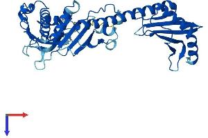 AlphaFold protein structure predicition of Human Recombinant BABAM2 Protein, UniprotID Q9NXR7