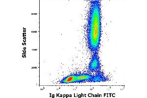 Flow cytometry surface staining pattern of human peripheral whole blood stained using anti-human Ig kappa light chain (A8B5) FITC antibody (20 μL reagent / 100 μL of peripheral whole blood).